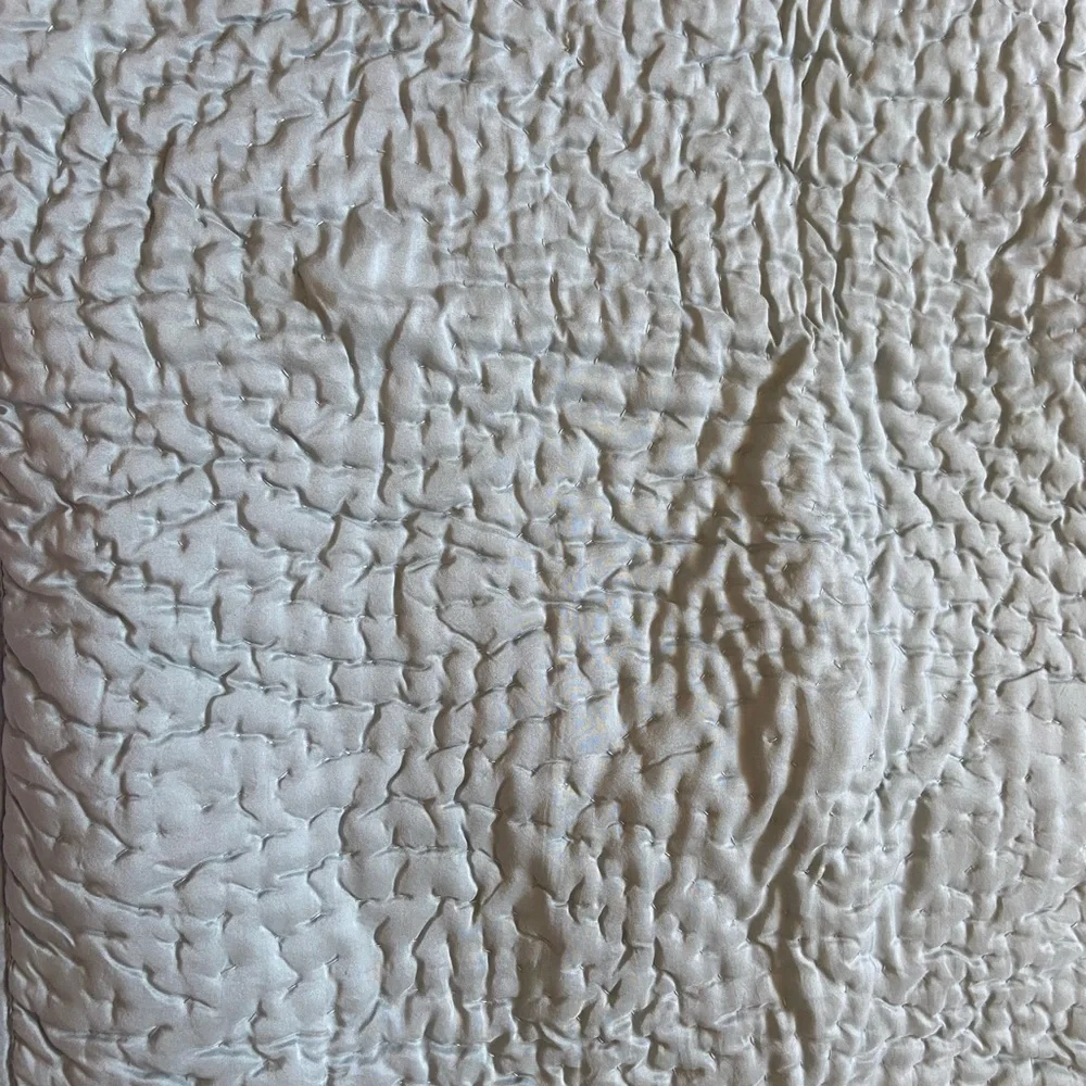 (1) Pottery Barn silk sham